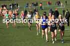 Senior Men, 2024 CAU Inter Counties Cross Country Champs., Wollaton Park, Nottingham. Photo: David T. Hewitson/Sports for All Pics